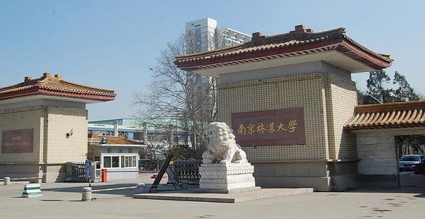 祝賀公司與南京林業(yè)大學(xué)合作(圖1)